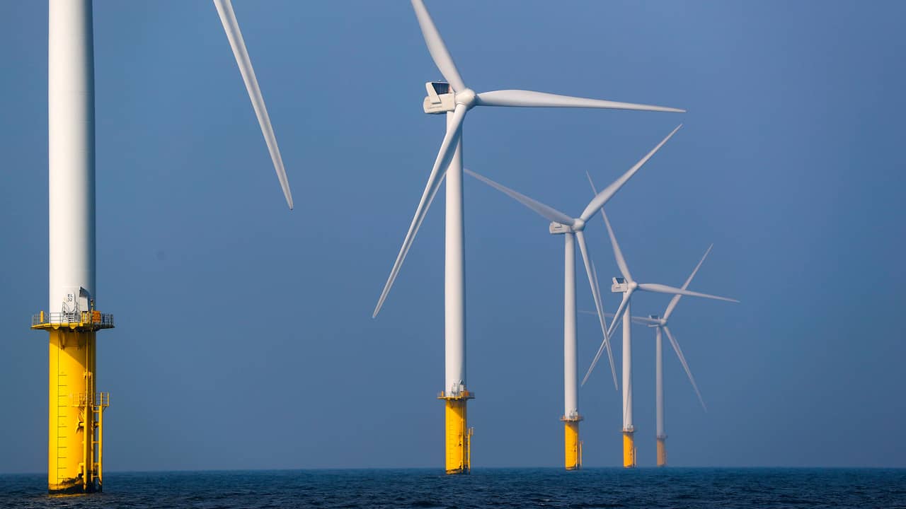 Energy Ewe Sells Project Developers For Offshore Wind Farms Teller Report