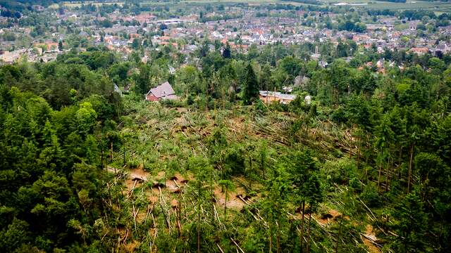 Op dronebeelden is te zien hoe de bomen dezelfde kant op liggen.