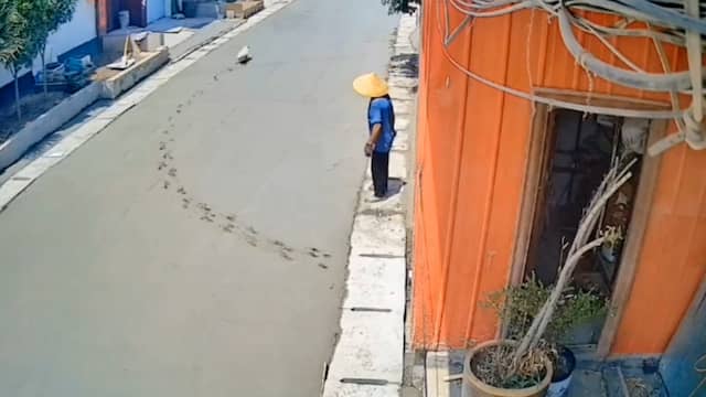 Hondje wandelt nat beton op en verpest Chinese weg
