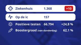 De coronacijfers van vandaag