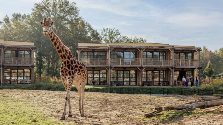 3-daags verblijf Safari Hotel Beekse Bergen vanaf 300 euro