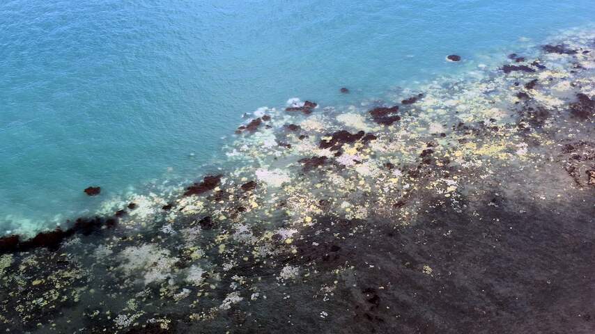 'Al het koraal Great Barrier Reef is over vijftien jaar dood'