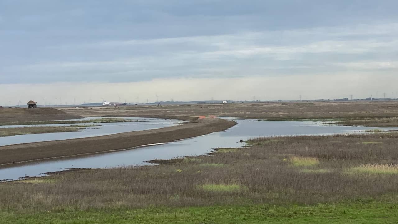 After seventeen years of bargaining, the water finally flows into the Hedwigepolder |  NOW