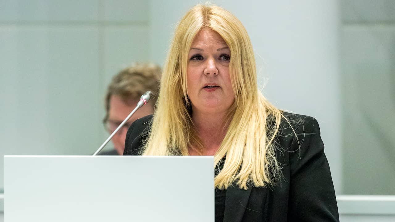 PVV-raadslid Dille wilde 'geen bemoeienis politie' rond verkrachtingsclaim