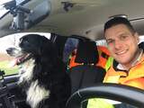 Sinds Oudejaarsavond vermiste hond teruggevonden op snelweg in Limburg