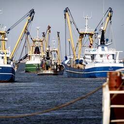 Visserij ook in 2023 verlieslatend door hoge brandstofprijzen