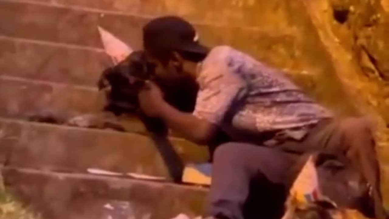 Beeld uit video: Dakloze Colombiaan viert verjaardag van honden en gaat viral