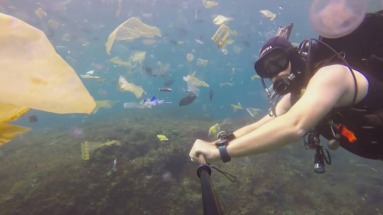 Beeld uit video: Duiker bij Indonesië omringd door plastic in plaats van vissen