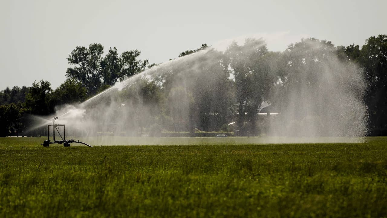 Ban on irrigation in Brabant ‘Limits of water consumption have been reached’ |  NOW