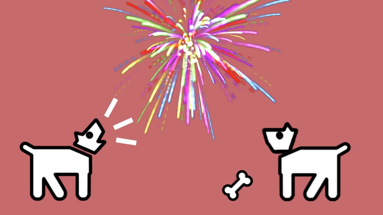Tips om paniek bij huisdieren bij vuurwerk te voorkomen