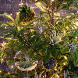Kersttrends: 'Versiering rijk van kleur, overdadig en met vleugje glamour'