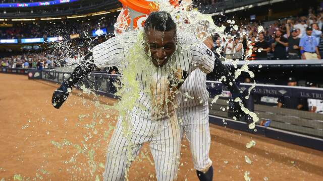 Didi Gregorius (New York Yankees)