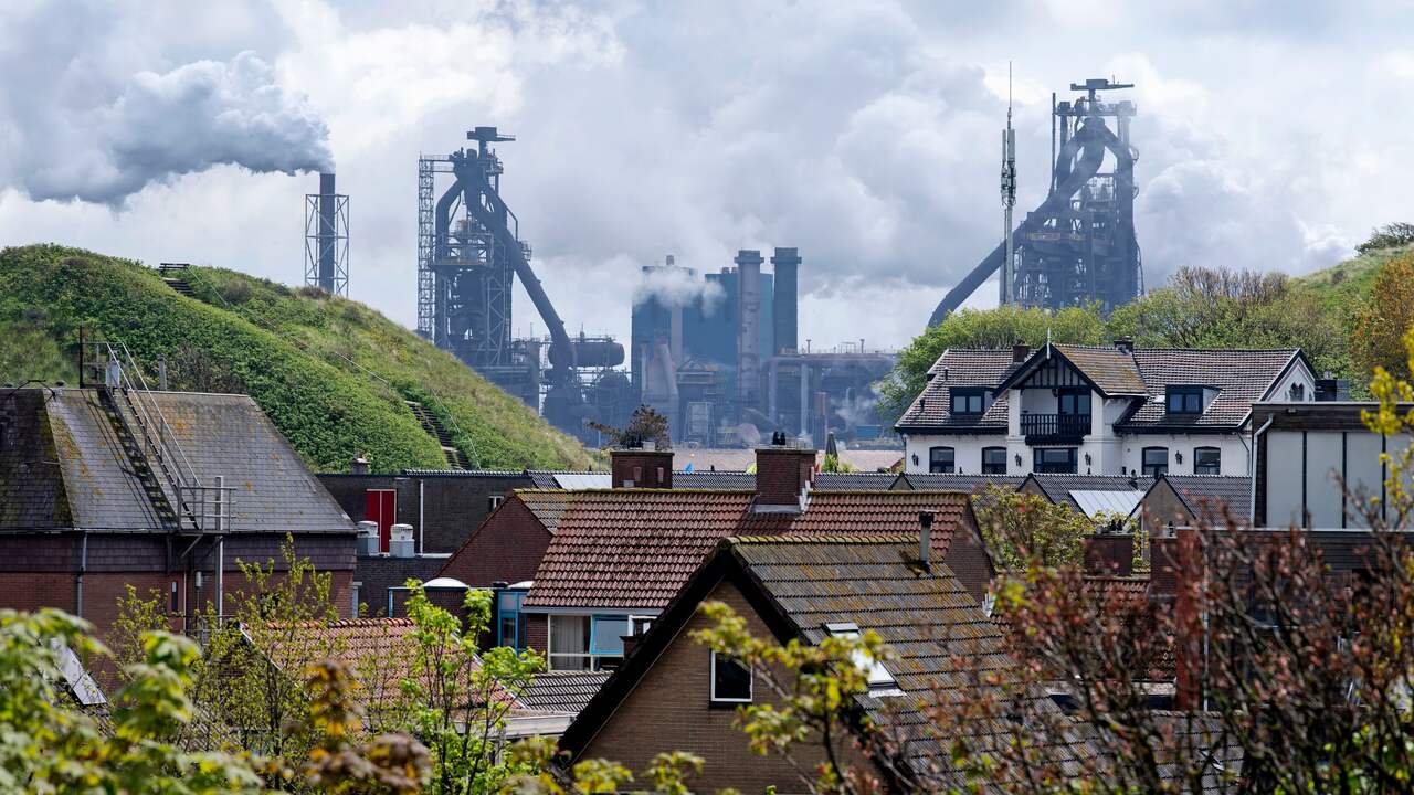 What do we know about the carcinogens in the environment of Tata steel?  |  Rack