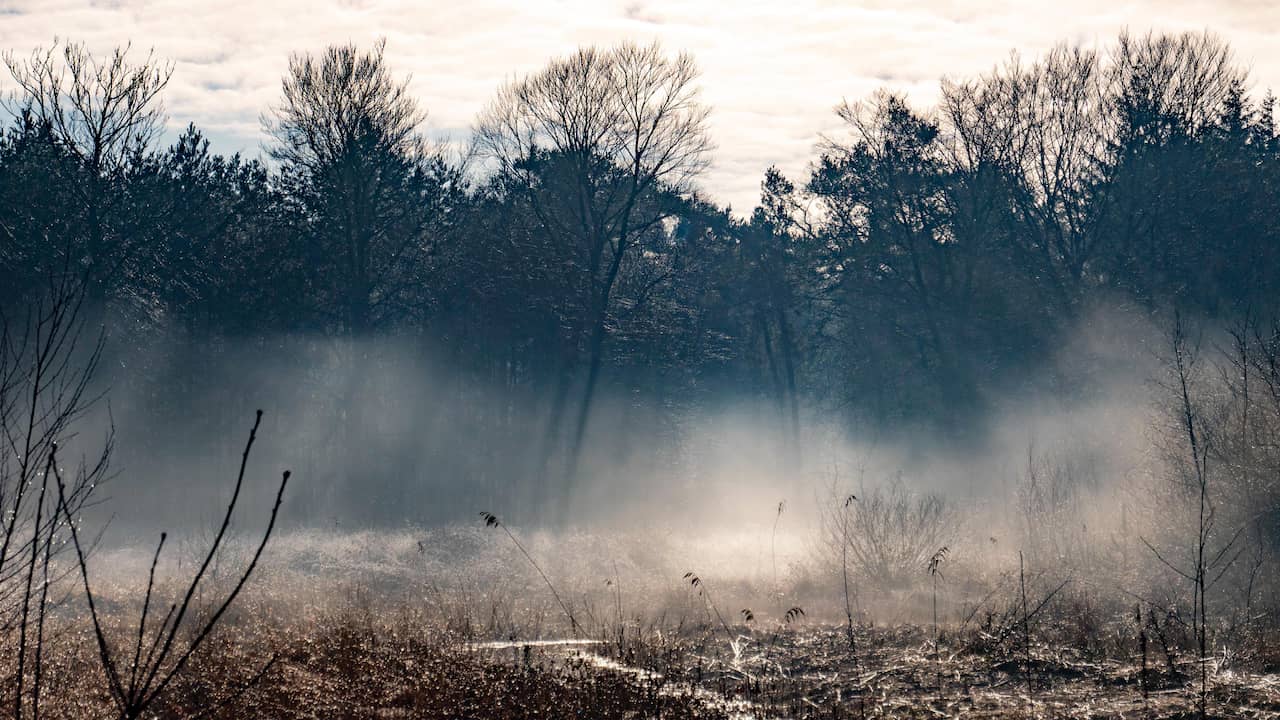 Measured on the coldest night of the year: the temperature dropped to -9 in Twente |  inland