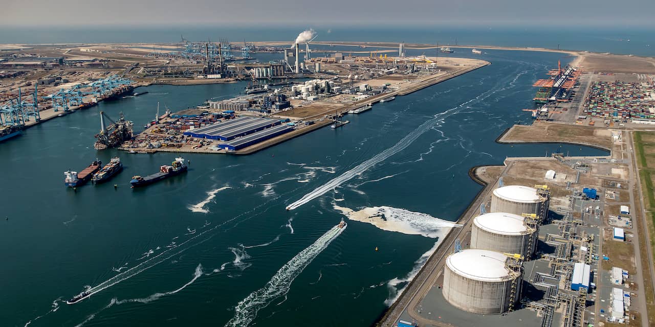 Douane onderschept 300 kilo cocaïne in de Rotterdamse haven
