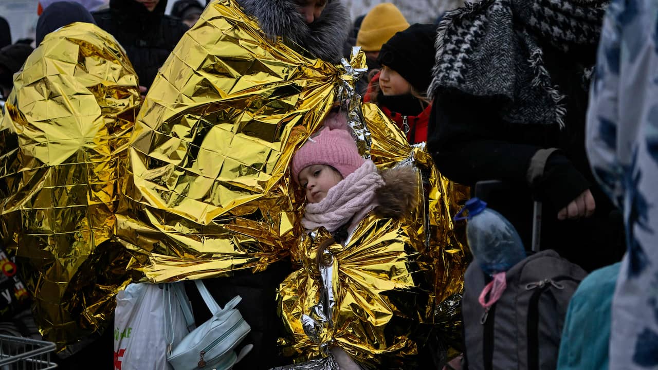 Le organizzazioni umanitarie si preparano all’inverno ucraino: ‘corsa contro il tempo’ |  Attualmente