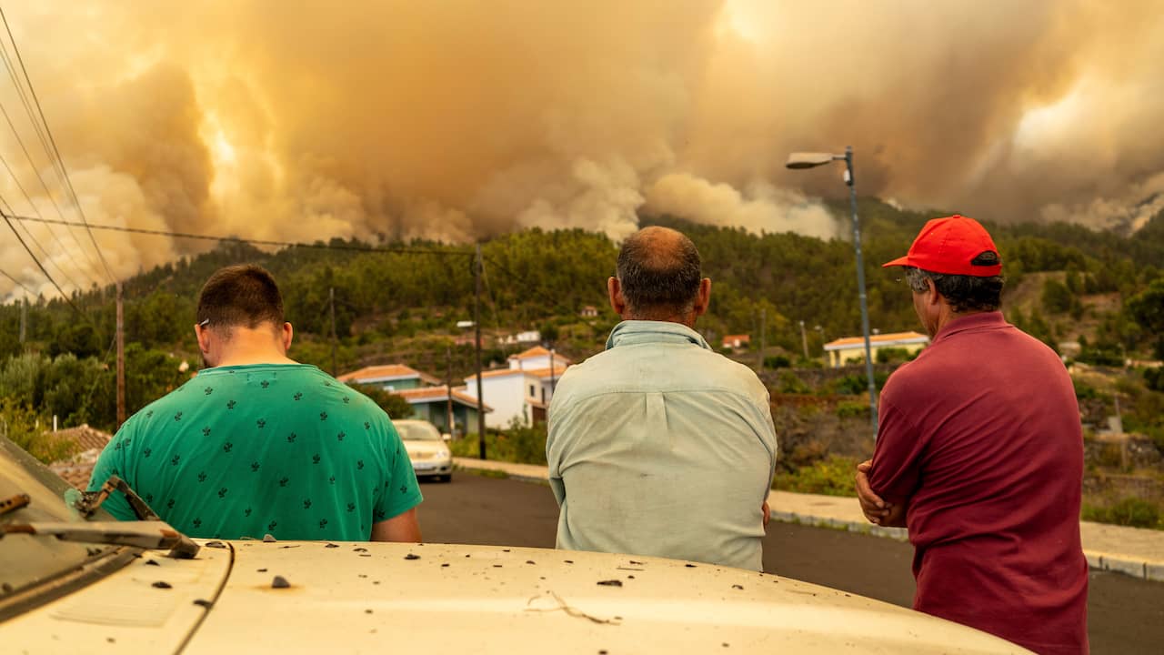 Wildfire spread on the Spanish island of La Palma: 4,000 people have already been evacuated |  outside