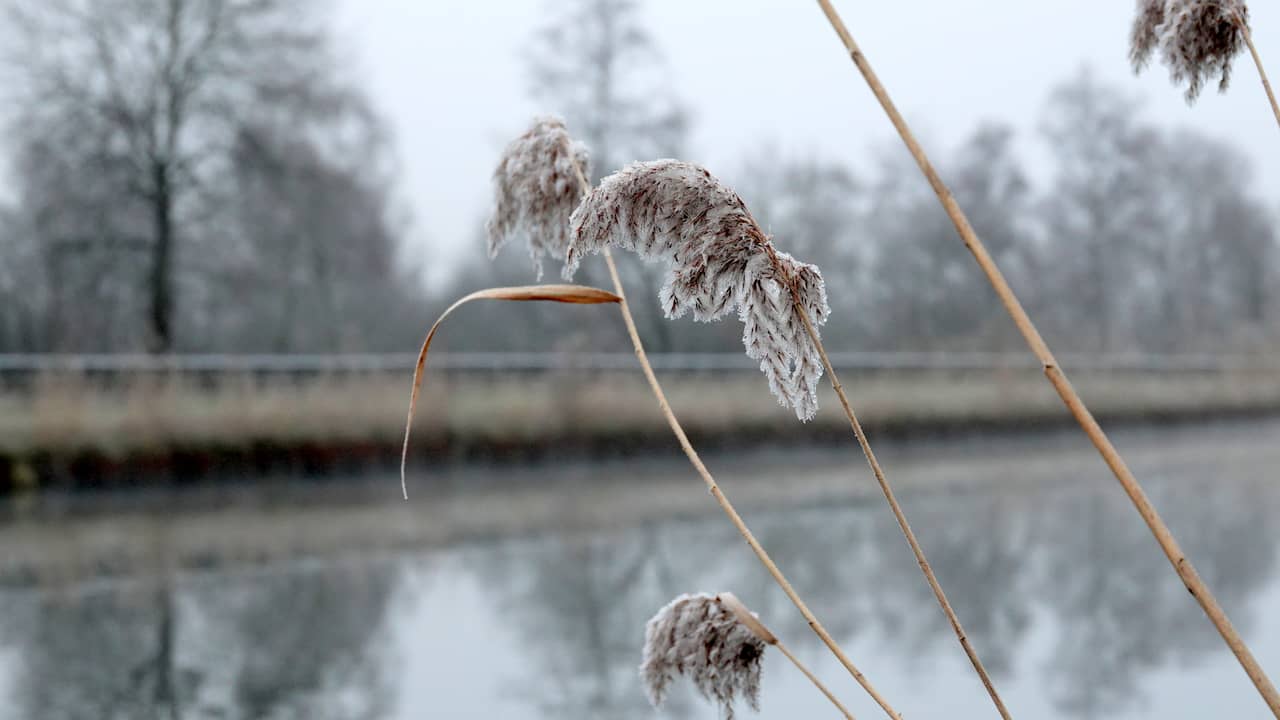 First frost of this autumn measured in Overijssel |  NOW