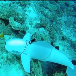 Robotvis houdt het leven in zee in de gaten
