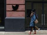 Twitter houdt grote schoonmaak: duizenden slapende accounts gaan verdwijnen