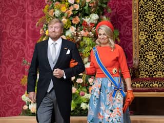 Koning Willem-Alexander heeft volgend jaar een hoger inkomen