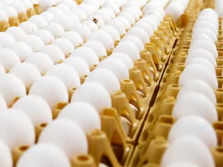 'Kwart eiersalades bevat nog scharrelei'