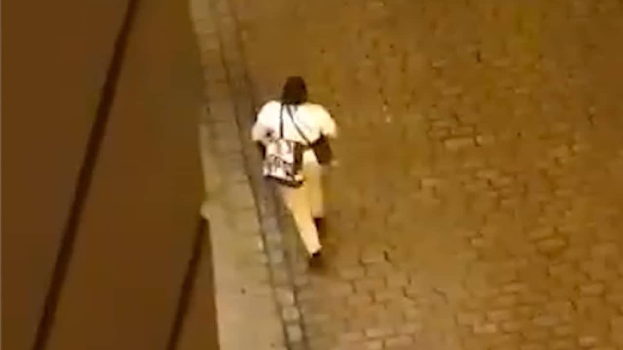Beeld uit video: Omstanders filmen schietende man in straten van Wenen