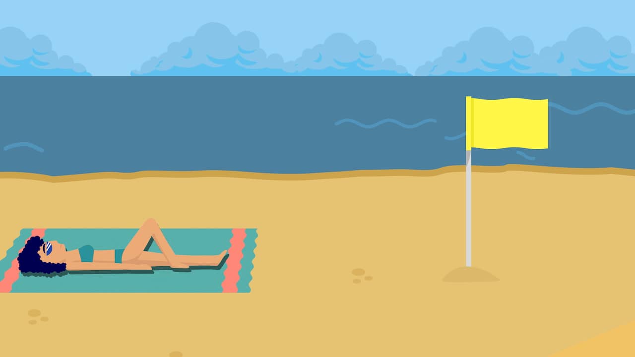 Beeld uit video: Wat betekenen de vlaggen op het strand?