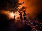 Dinsdag 11 augustus: Brandweermannen proberen een bosbrand te blussen in het Portugese Mangualde.