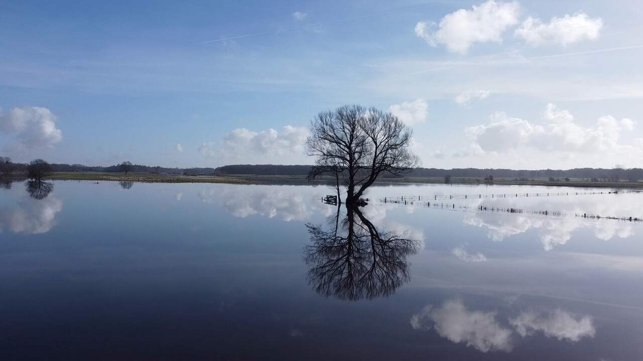 Overstroomde oevers van de Overijsselse Vecht, in februari dit jaar. Amper twee dagen later was al het water weer afgevoerd, zodat het het grondwater nauwelijks ten goede kwam.