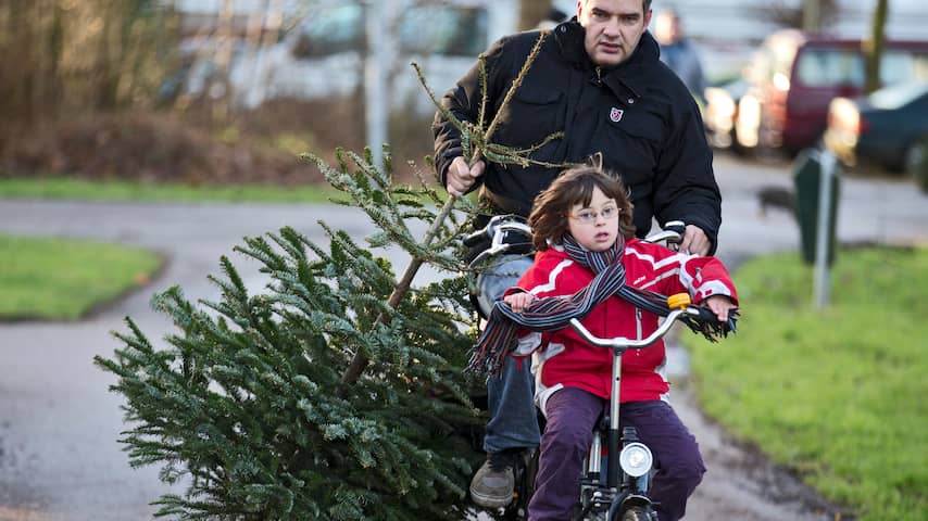 Stormloop op kerstbomen na vertrek Sint