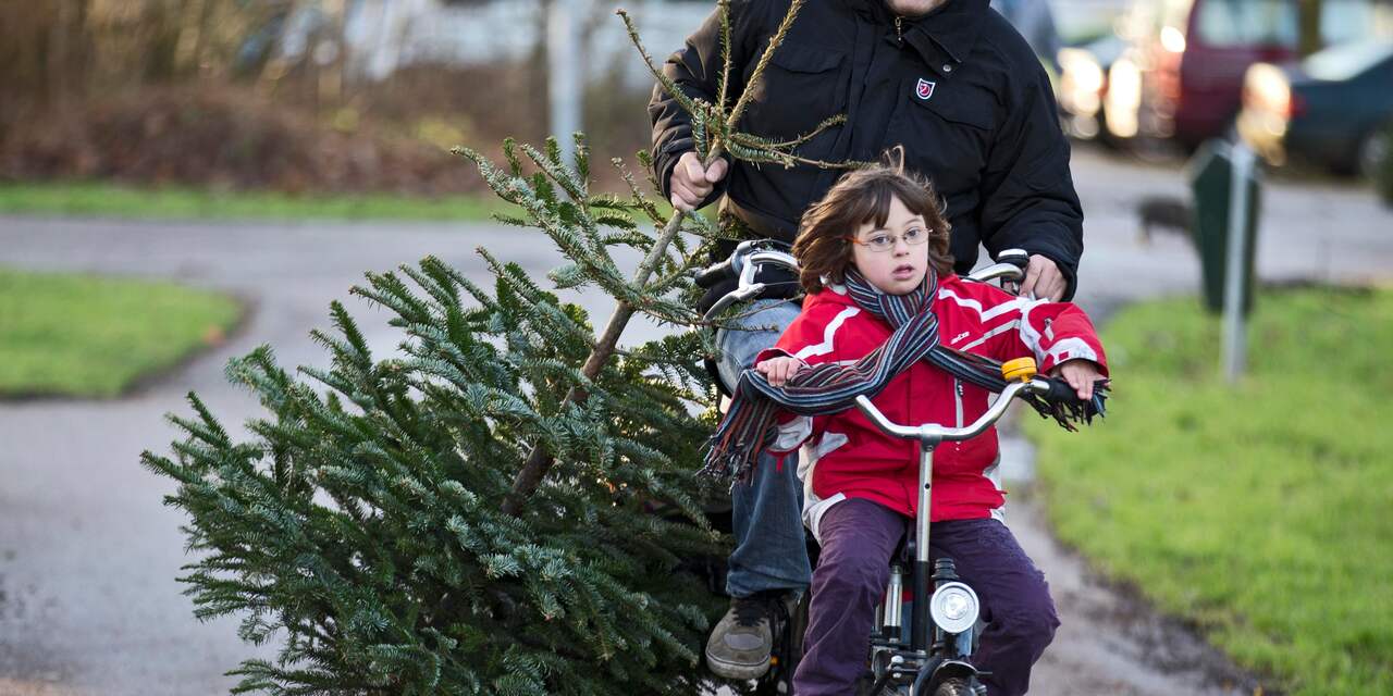 Stormloop op kerstbomen na vertrek Sint