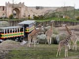 Gemeente Emmen neemt schulden van dierenpark WILDLANDS over