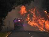 Tienduizenden Australiërs schuilen voor vuur, bosbranden woekeren voort