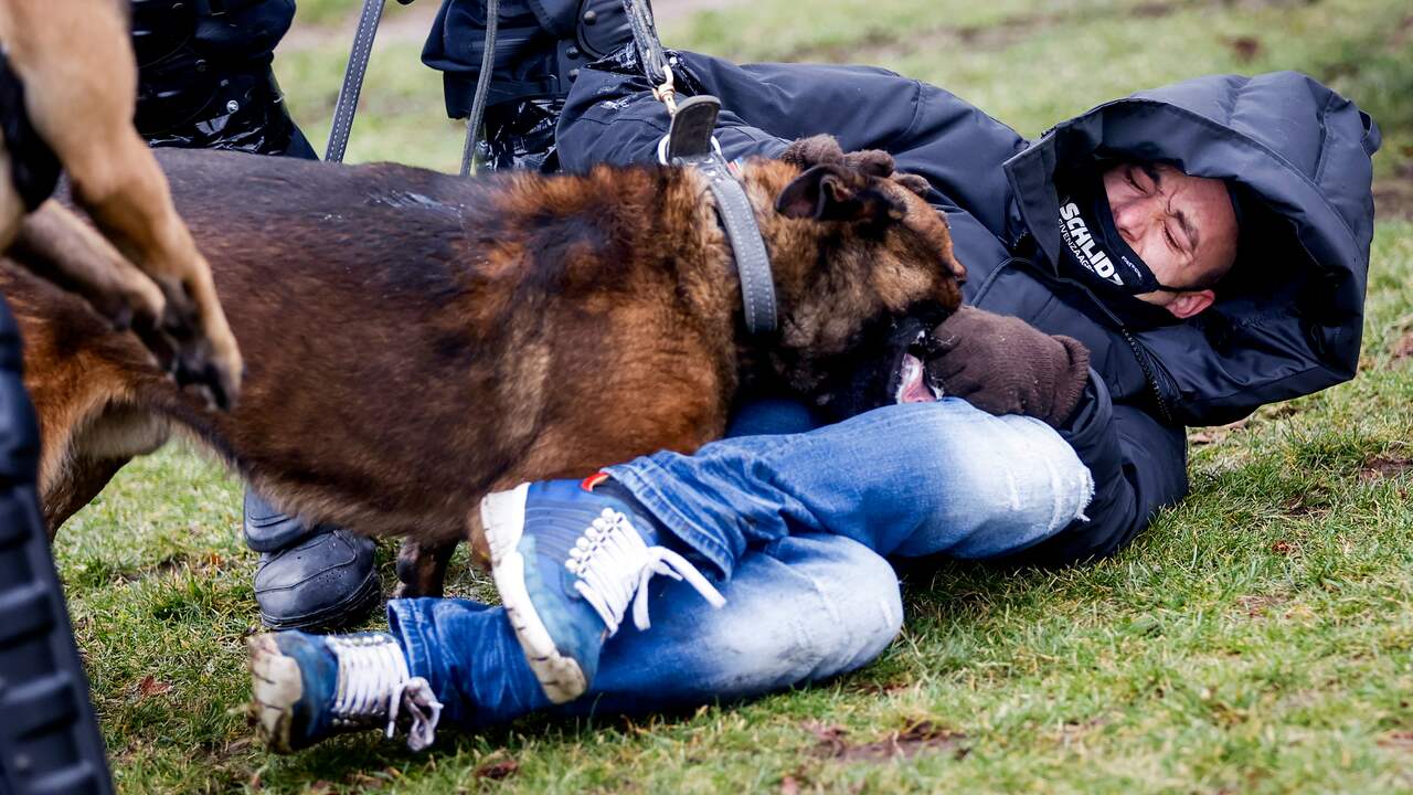 Een demonstrant wordt gepakt door een politiehond.