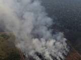 Aantal branden in Amazoneregenwoud in 2019 met 30 procent gestegen
