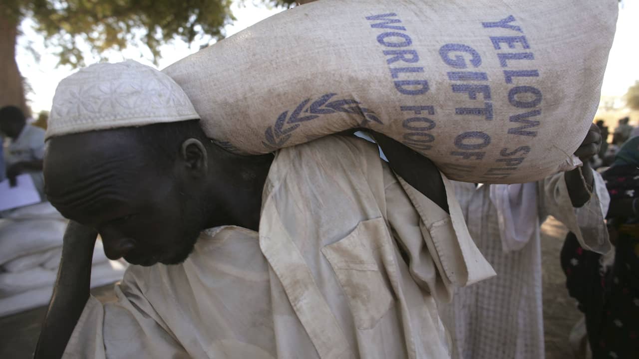 Чад объявил чрезвычайное положение из-за нехватки пшеницы из-за войны в Украине |  В настоящее время
