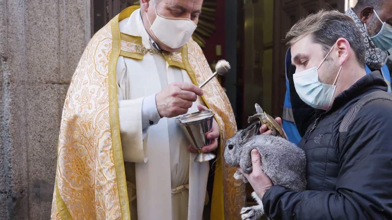 Beeld uit video: Priester zegent huisdieren op Spaanse feestdag