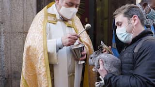 Priester zegent huisdieren op Spaanse feestdag