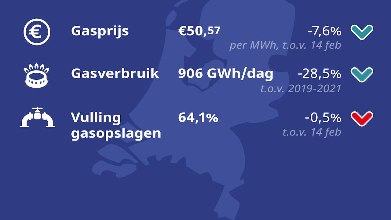 Energy update: Gas stocks seem to be full enough for March |  Economy