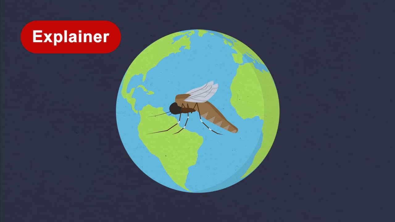 Beeld uit video: Waarom de mens het lievelingsslachtoffer van sommige muggen is