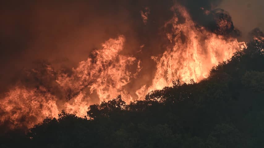 Vier dorpen op Kreta geëvacueerd vanwege bosbrand