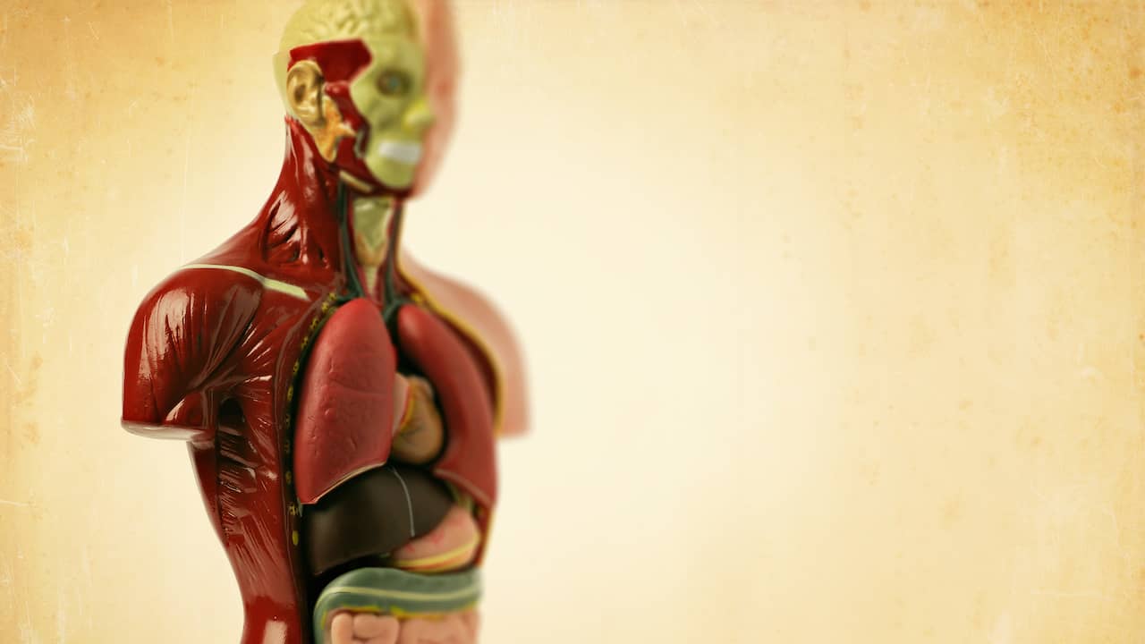 'Betekent pijn bij ademhalen dat ik een klaplong heb?' Gezondheid NU.nl