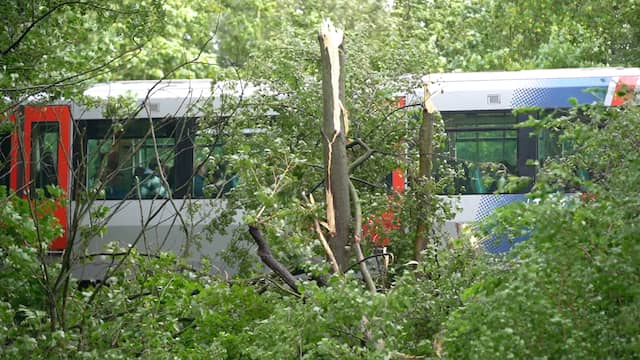 Metro op omgewaaide boom gebotst in Rotterdam