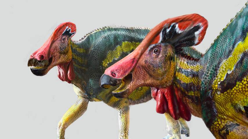 'Spraakzame' dinosaurus ontdekt aan de hand van in Mexico gevonden fossiel