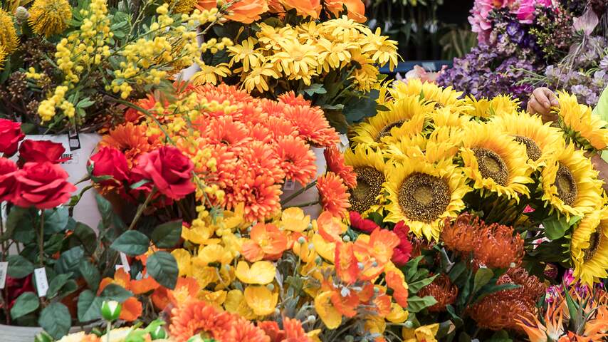 Kenia laat extra vluchten toe voor vervoer bloemen voor Valentijnsdag