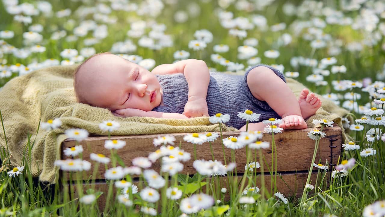 Haast je Whirlpool Omgekeerd Baby buiten laten slapen? 'Met wantjes en mutsje slapen ze heel diep' |  Kind & Gezin | NU.nl