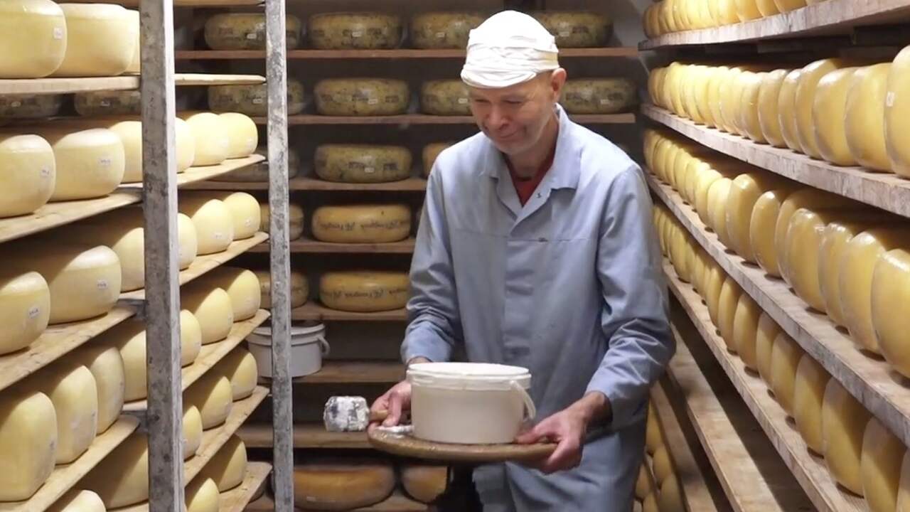 Hoe is het met boer Willem?: 'Het werd tijd voor Boer zoekt Man'