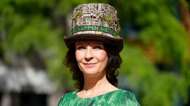 De hoeden en hoofddeksels worden regelmatig gebruikt voor politieke statements. Zo draagt Esther Ouwehand (Partij voor de Dieren) een gekapte boom als hoed om aandacht te vragen voor de noodzaak om te stoppen met subsidies voor biomassa.