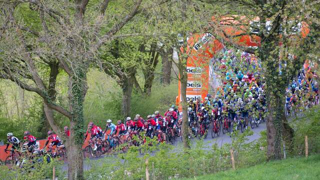 Liveblog Amstel Gold Race: Gilbert klopt Kwiatkowski en wint (gesloten)